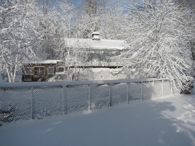 1 Barn.jpg