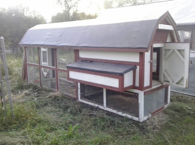 Chicken coop .jpg