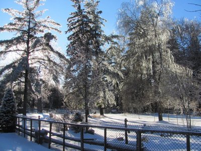 Sparkling first paddock.jpg