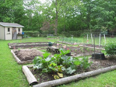 Garden planted June 11.jpg