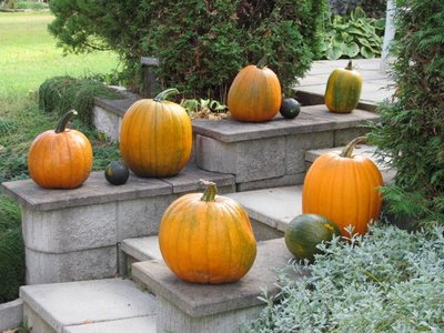 Pumpkins on front steps.jpg