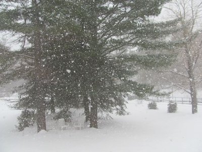 Snowing again.jpg