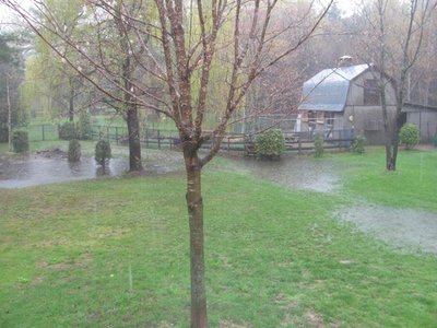 FLOOD.jpg