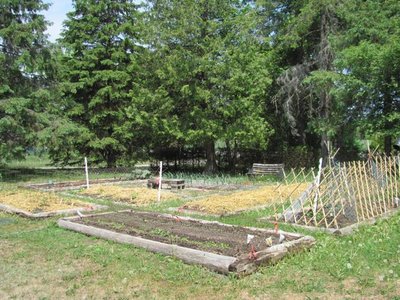 Garden May 2016.jpg