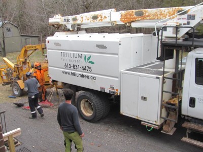 Trillium truck.jpg