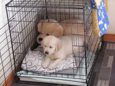 In the crate.jpg