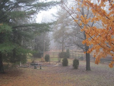 free range in Dec.
