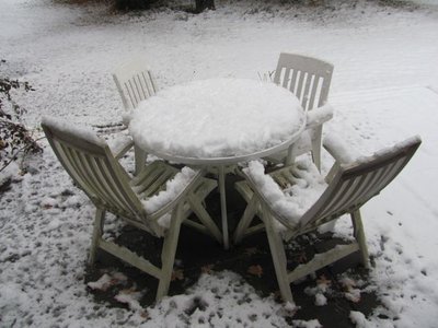 Snow on the table.jpg