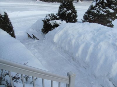 digging the luge.jpg
