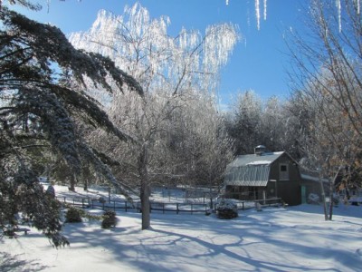 ice willow  & barn.jpg