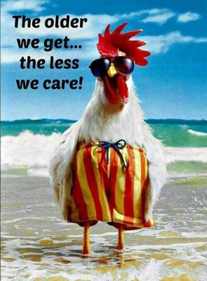 Rooster joke.jpg