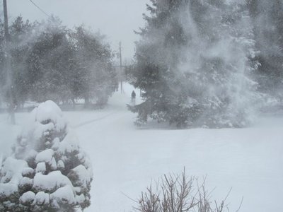 Snowmagedon.jpg