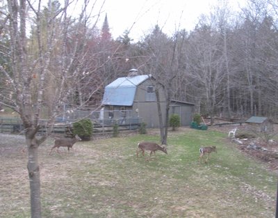 The marauding herds.jpg