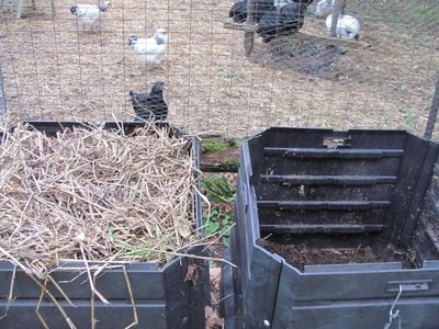 Compost bins before and after.jpg