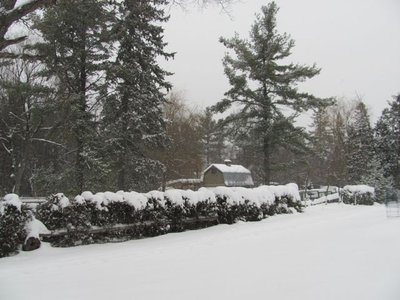 Dec 17 2016.jpg