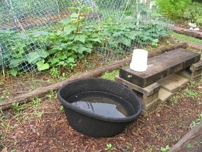 water pan.jpg