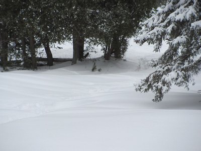 Snowmagedon driveway.jpg