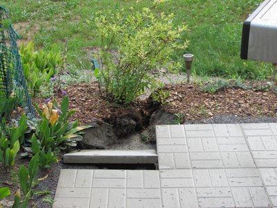 Washout.jpg