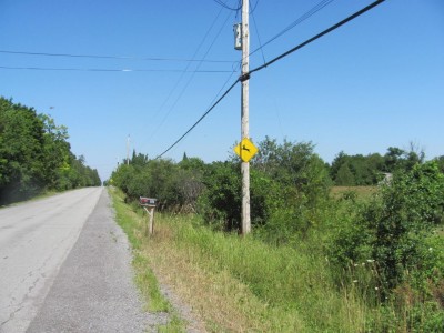 Deer Sign & road.jpg