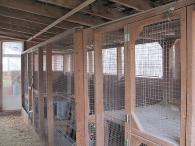 Barn Old ceiling..jpg