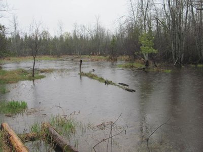 VIKING ship on the creek.jpg