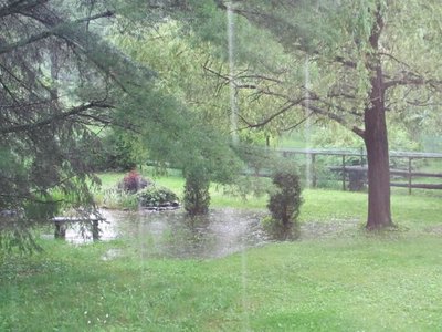 Deluge 2.jpg