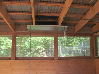 Barn new pen Ceiling_1.jpg