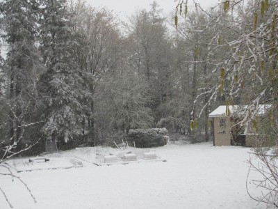 Veg garden.jpg