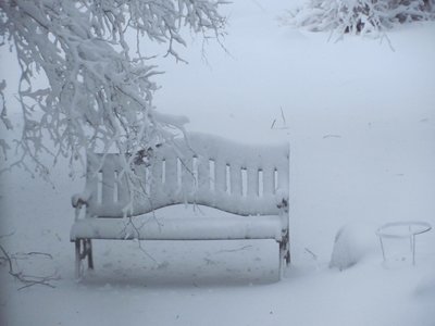 Bench under snow.jpg