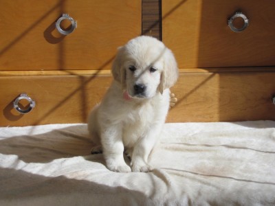 Introducing Addy.jpg