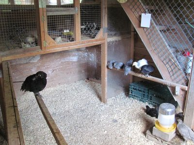 Upstairs downstairs.jpg