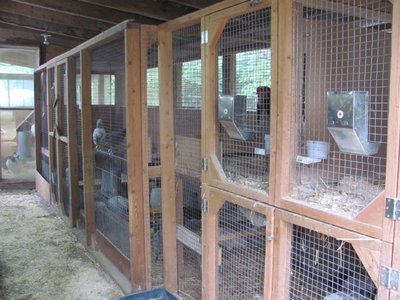 Barn tour inside.jpg