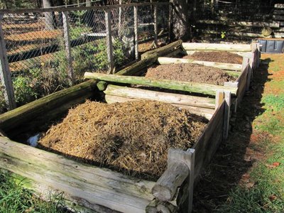 Compost 321.jpg