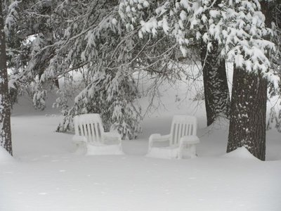 Snow 2.jpg