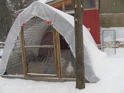 Quonset winter.jpg