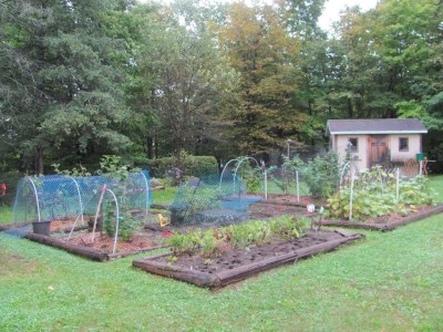 Garden Sept 20, 2022.jpg