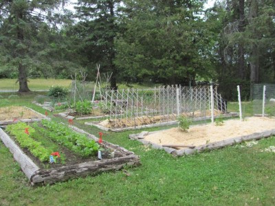 Gdn June 11 2021 - last ofthe barn bedding.jpg