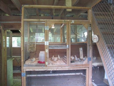 Barn brooder spare stall.jpg