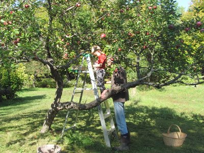 Apple picking with grandpa (1).jpg