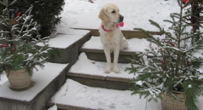 Addy, I think I see a squirel....jpg