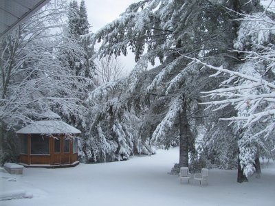 Gazebo in winter.jpg