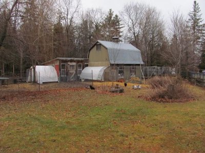 Quonset #2.jpg