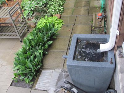 Rain barel overflow.jpg