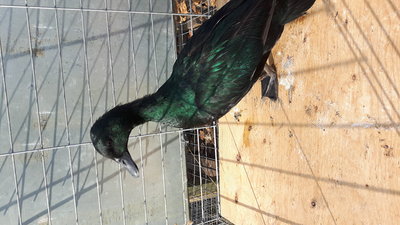 20161115_103547.jpg