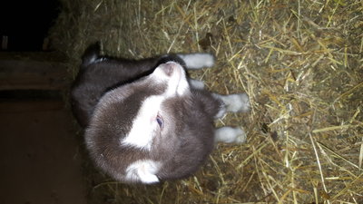 I'm so cute!