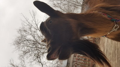 Lemme take a selfie!