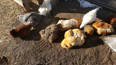 20170319_095913.jpg