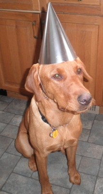 partyhat.JPG