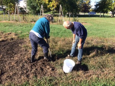 Potato digging 2016.JPG