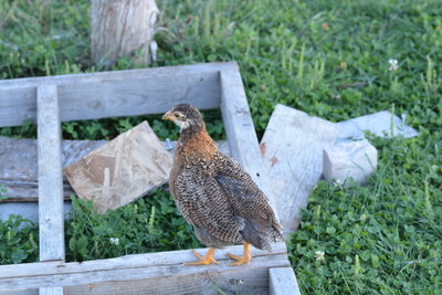 DSC_0573.JPG